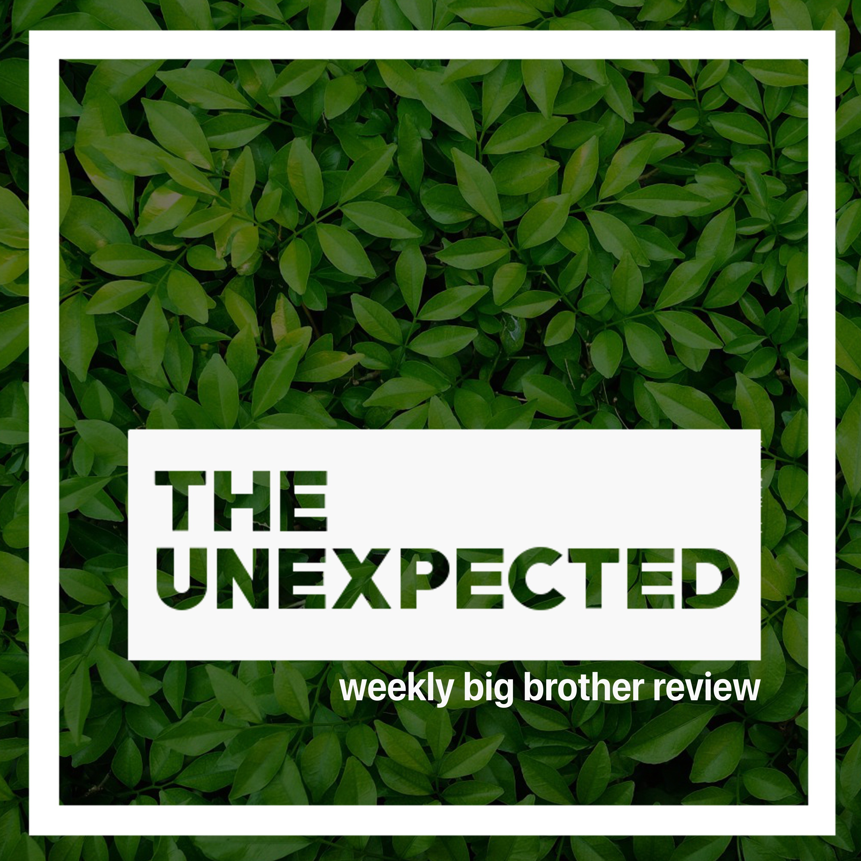 The Unexpected Big Brother Season 20 Week 1: Don't Cry Robot episode artwork