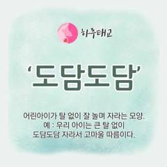 [텐박스] 하루태교 - 도담도담