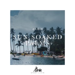 sun soaked palms no. 008