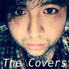 Niall Horan - On The Loose (Charley Cruz Version)