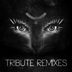 Yoji Biomehanika - Hardhouse Raver (Dj Thera Remix)