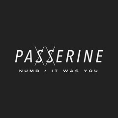 PASSERINE - Numb
