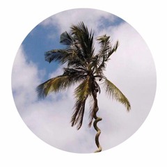 PALMS016 // Harrison BDP - Be Like Water EP