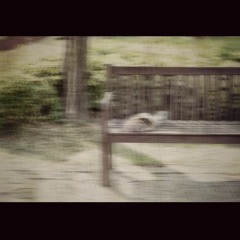 꽃다발