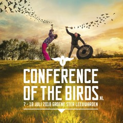 Conference of the Birds - Inleiding voor Onderweg