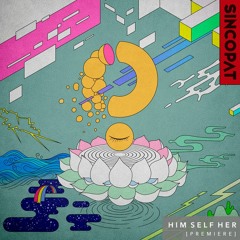 HSH_PREMIERE: Dave Seaman - Heavy Petting (Original Mix) [Sincopat]