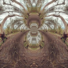 FatMowler @ Spored 2018 Tasmania Saturday Night