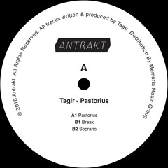 A1. Tagir - Pastorius
