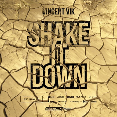 VINCENT VIK SHAKE IT DOWN