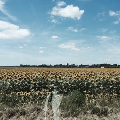 Babel - Baden Powell