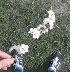 ❤ - эта девушка сегодня будет танцевать со мной