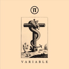 Various Artists - VARIABLE [PEVACD01]