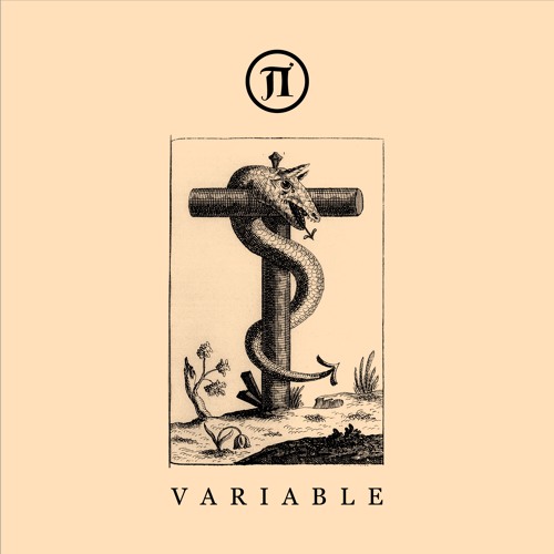 Various Artists - VARIABLE [PEVACD01]
