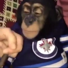 2048 (prod. Xanedikt)