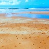 Perez Summer Vibes 2018 Live Set DJ mix artwork - Electronic music tracklist cover image