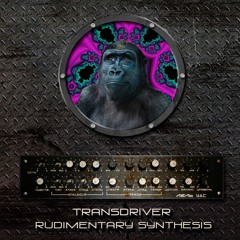 21.Transdriver - Jazz Acid