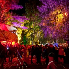 Arne Spremberg @ Fusion Festival 2018 - Schuhkarton