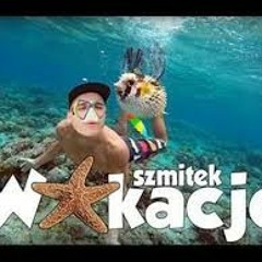 Szmitek mix   WAKACJE.mp3