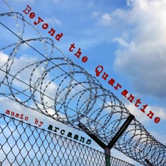 Beyond the Quarantine