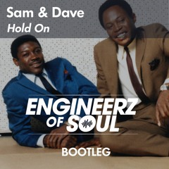 Hold On (Engineerz of Soul Bootleg)