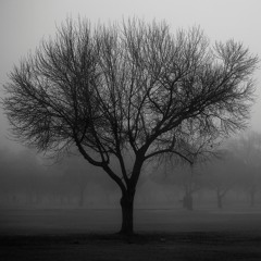 Somber Trance