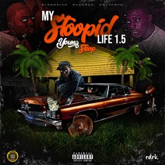 My Stoopid Life 1.5