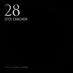 28 by Stee Cracker