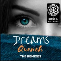 Quench - Dreams (Paddy Duke Remix )