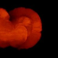 Up - D.ShaReaf feat. Lil Tiff (Prod. Mj. Nichols)