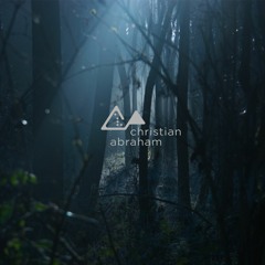 Second Sample
