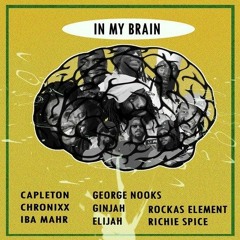 In My Brain Riddim Mix JUNE 2018 Chronixx,Richie Spice,Capleton & More (Kickin Productions)