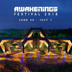 Drumcomplex & Roel Salemink @ Awakenings Festival 2018