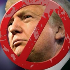 the Dogs - Fuck The President (Paramtrola rmx)