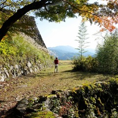 DOOM & GUNN - 2 STINGS [FFOONNAA RREEMMIIXX]