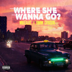 Mikealis - Where She Wanna Go? ft. Yimmy Cancun