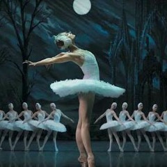 Swan lake (cover)