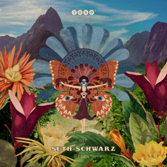 Premiere: Seth Schwarz & Be Svendsen - Elves of Karoo (Gabriel Ananda Remix) [3000 Grad Records]