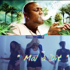 Intro Gappy Ranks Feat Shannon - Mal À Dit (By Dj Willy)