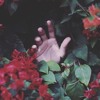 RAZ - Somebody Else