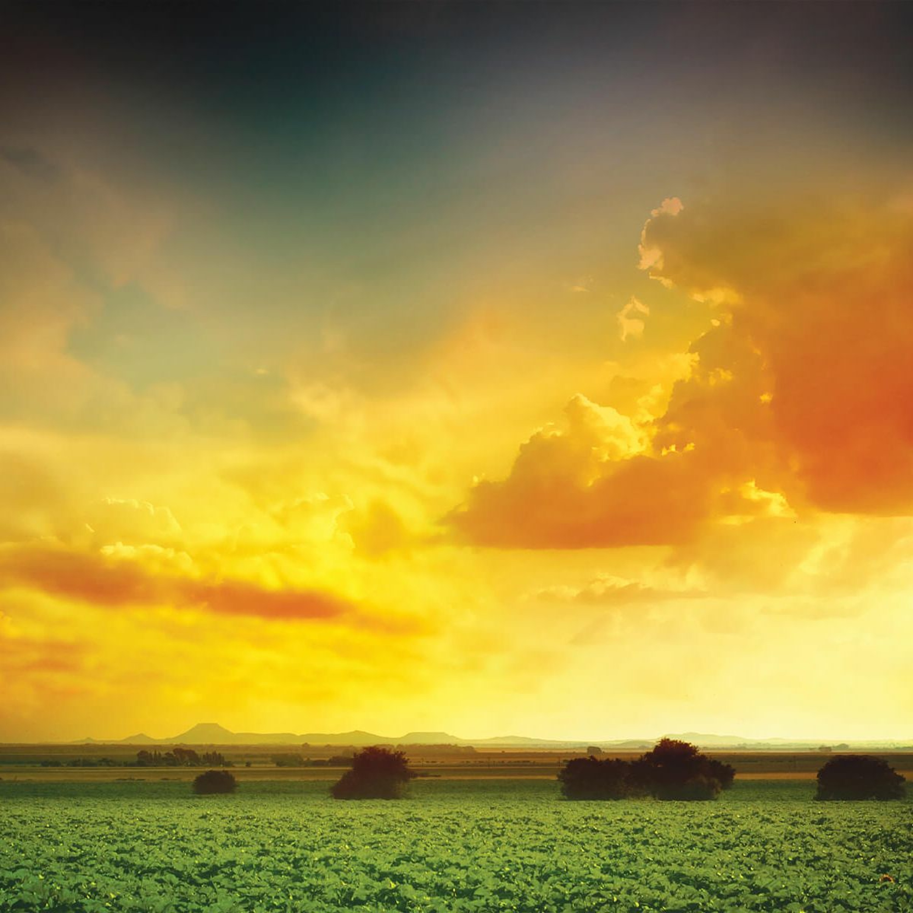 Praise The God Who Stoops Down - Psalm 113 - 7-2-2018 Service episode artwork