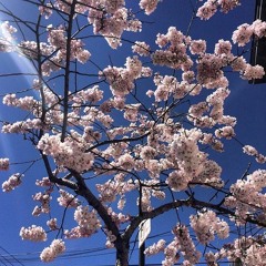Impromptu Sunshine with Momma