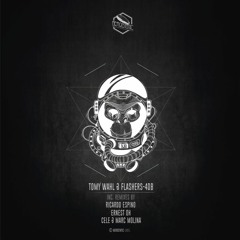 Tomy Wahl & Flashers - 4db (Original Mix)