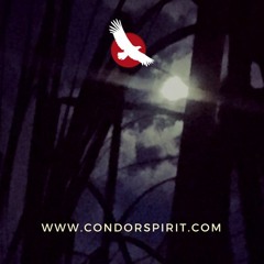 HermanaDeLaLuna_byJuttaKlöckner