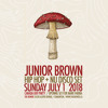 下载视频: CANADA DAY PARTY w/ MARK FARINA @ The Bower July 1, 2018 (Junior Brown Opening Set)