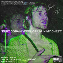CALL ME COBAIN