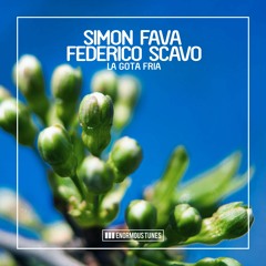 Simon Fava & Federico Scavo - La Gota Fria (Latin Mix) Teaser
