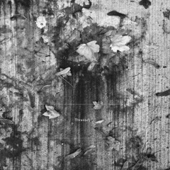 THRENODY: THE STANDARDIZATION OF EXPERIENCE