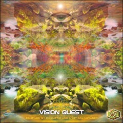 Viridian Vortex [Visionary Shamanics Records VA]