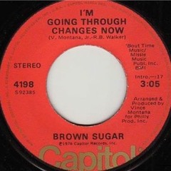 Brown Sugar - I´m Going Through Changes Now (Funkdamento Remix)