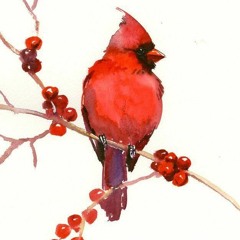 BLESSMEE ( Prod by OPCMAL )